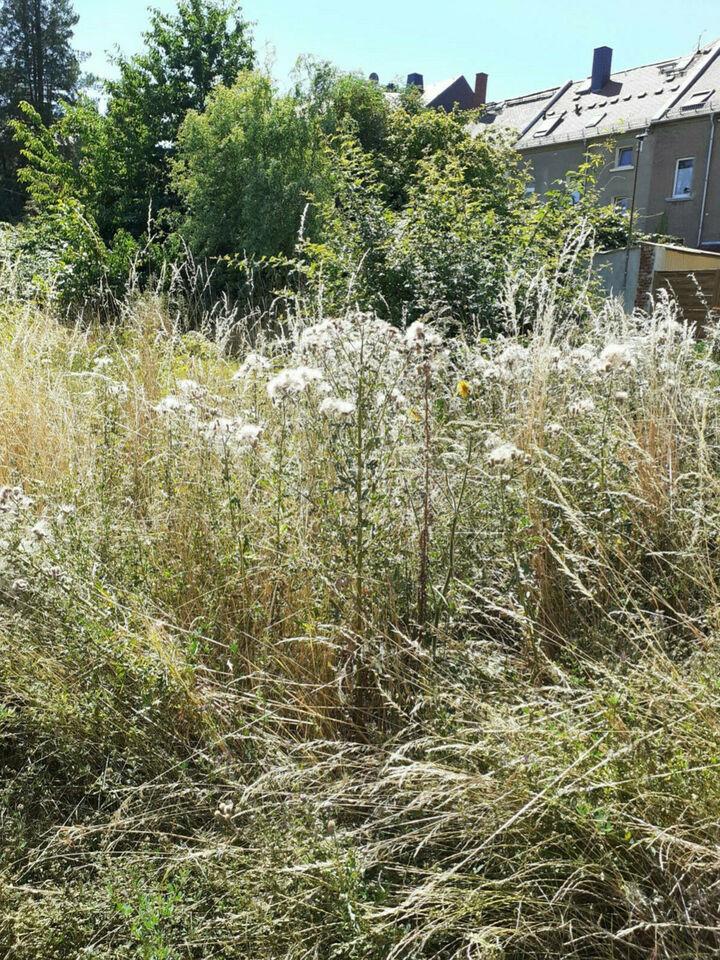 Ärmel hoch, jetzt wird gebaut! Bauplatz in Mittelsachsen Kurort Hartha