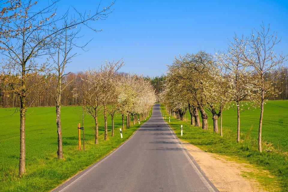 Einzig verfügbares Baugrundstück in begehrter Lage in Lohmen-Mühlsdorf Lohmen