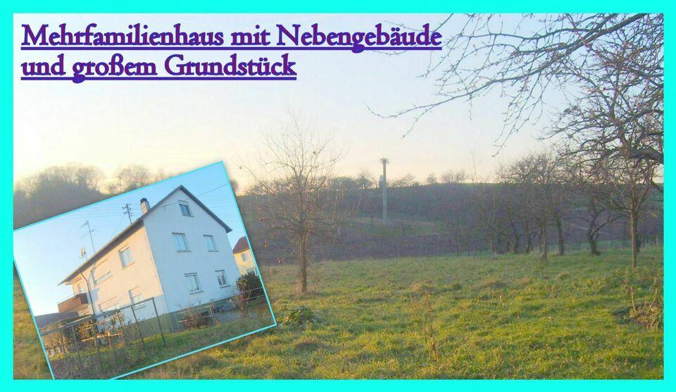 Ideal für Naturliebhaber **Mehrfamilienhaus mit Nebengebäude und großem Grundstück in Ortsrandlage** Baden-Württemberg