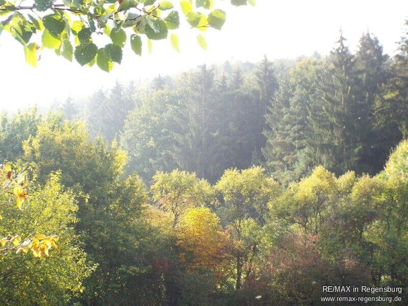 Waldfläche für den Kachelofenbesitzer Sünching