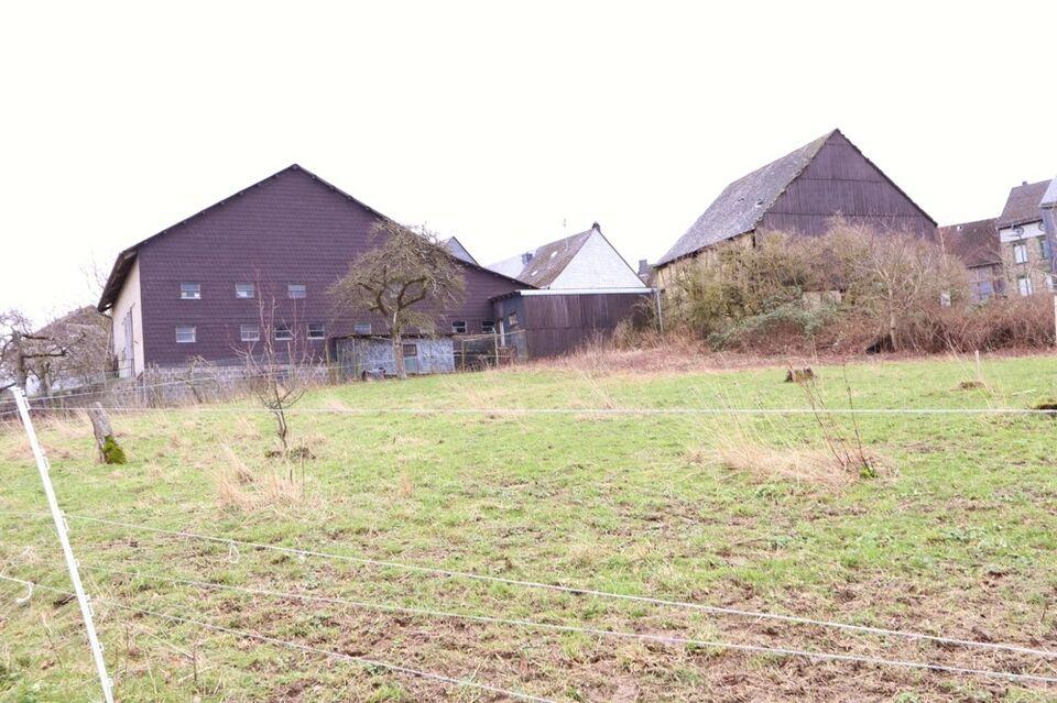 Ca. 3000 m² Baugrundstück (teilbar) im beschaulichem Hunsrück-Ort Fronhofen (OT von Kleinich) Rheinland-Pfalz