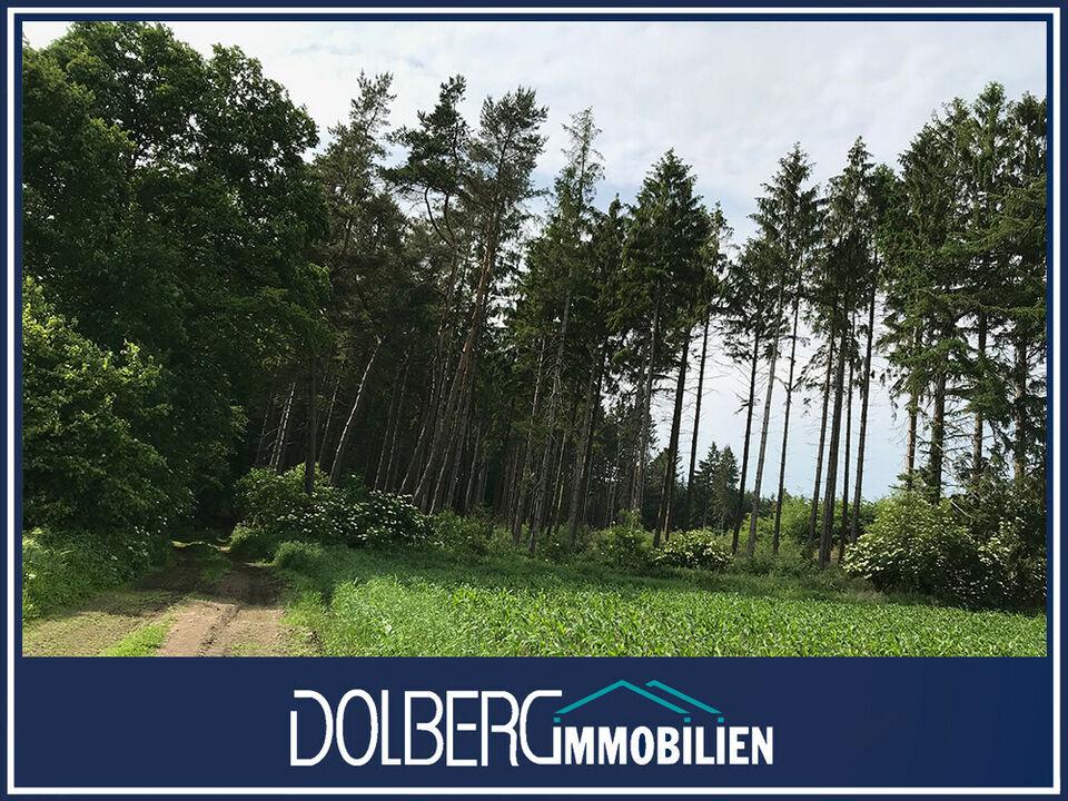 Der eigene Wald Schleswig-Holstein