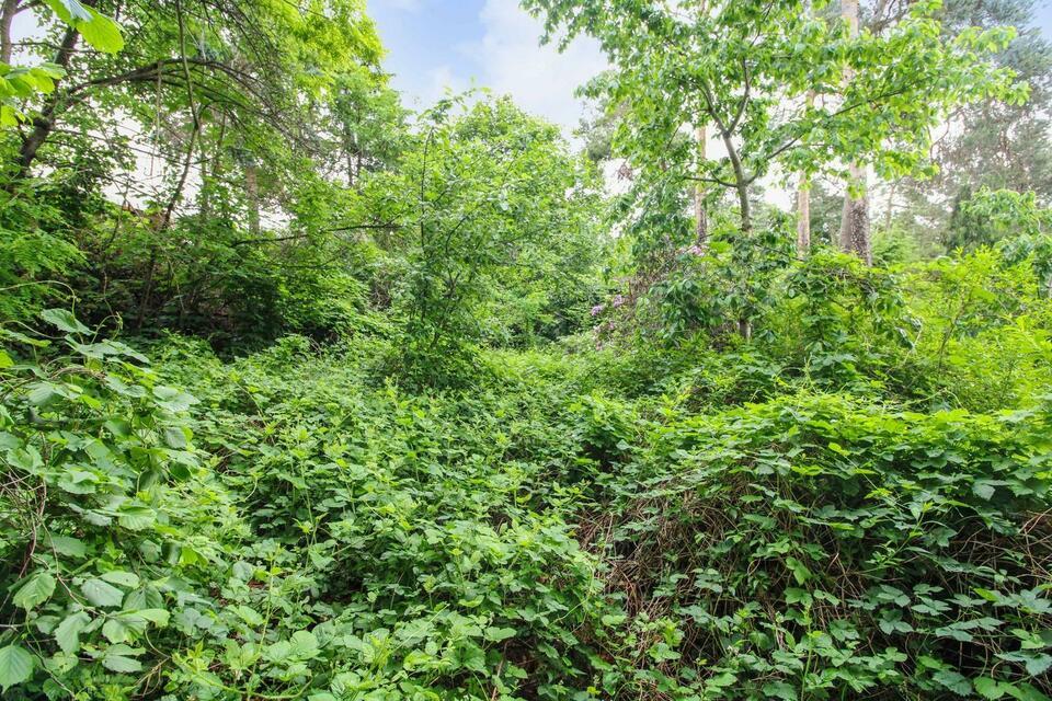 Idyllisch nahe Dresden: Teilerschlossenes Grundstück mit Altbestand in ruhigem Wohngebiet Moritzburg