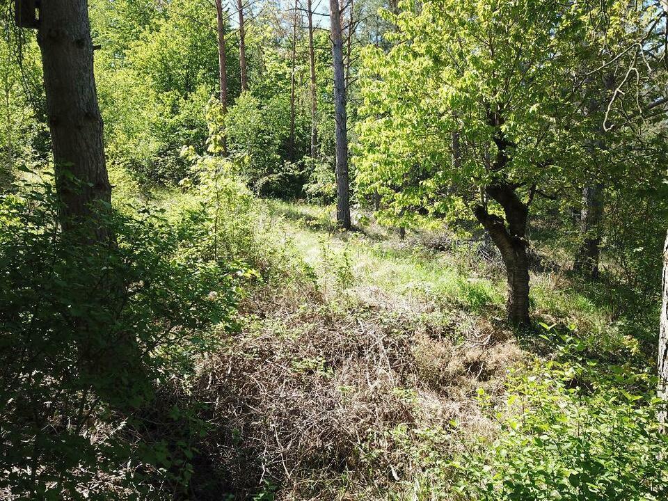 BAUGRUNDSTÜCK IN RUHIGER LAGE, NÄHE STAUSEE KELBRA Hübelschenkhäuser