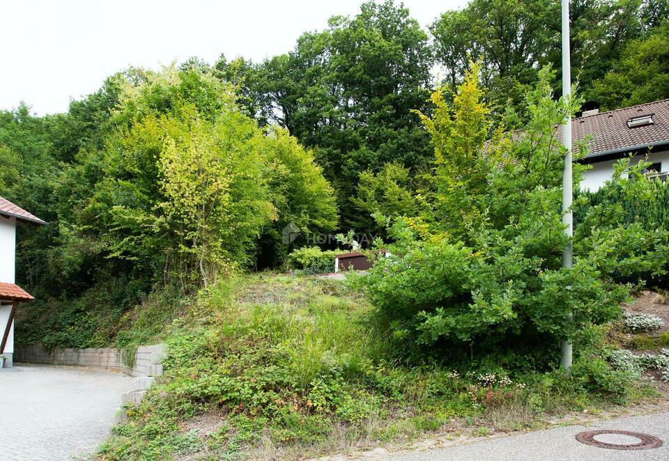 Großes Grundstück - teilweise erschlossen mit Bebauungsplan Rheinland-Pfalz