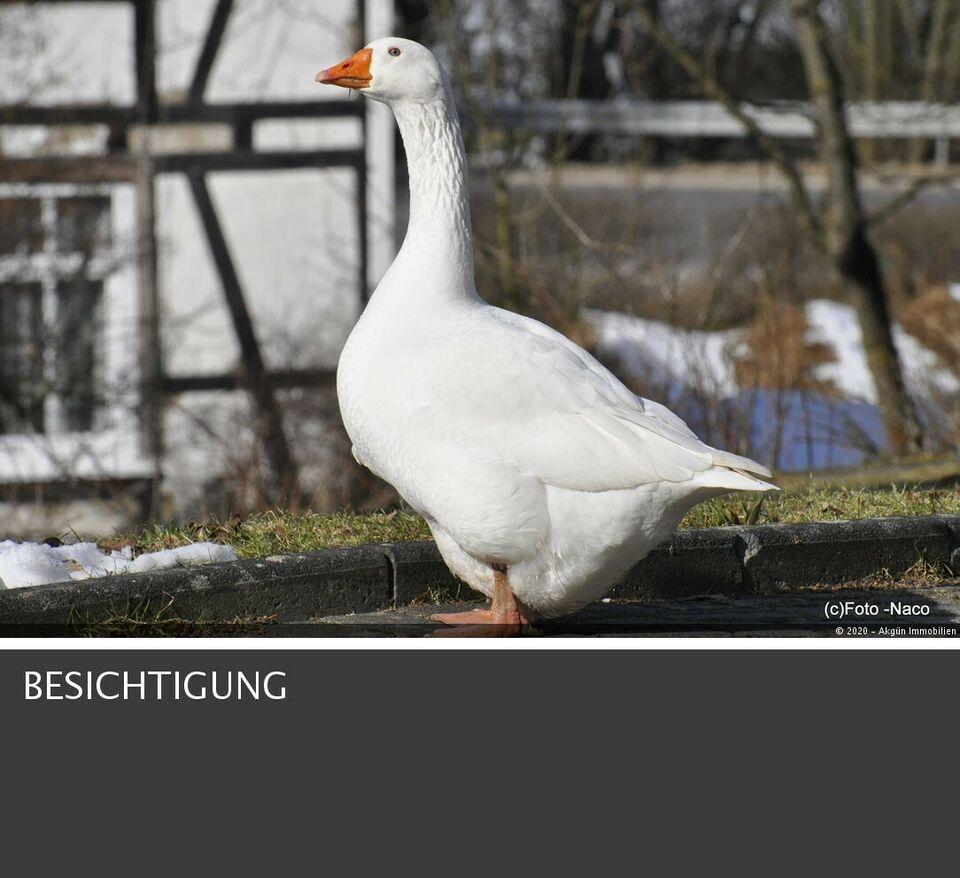 1 FH mit großem Garten Teich oder Bachlauf ! Rheinland-Pfalz
