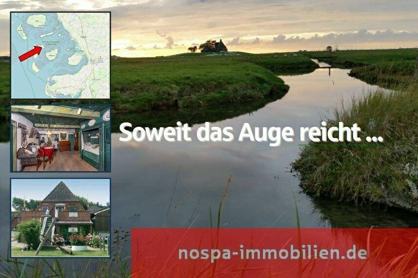 Soweit das Auge reicht: Vielseitig einsetzbare Gewerbe-/und Wohnimmobilie auf Hallig Hooge! Hallig Hooge