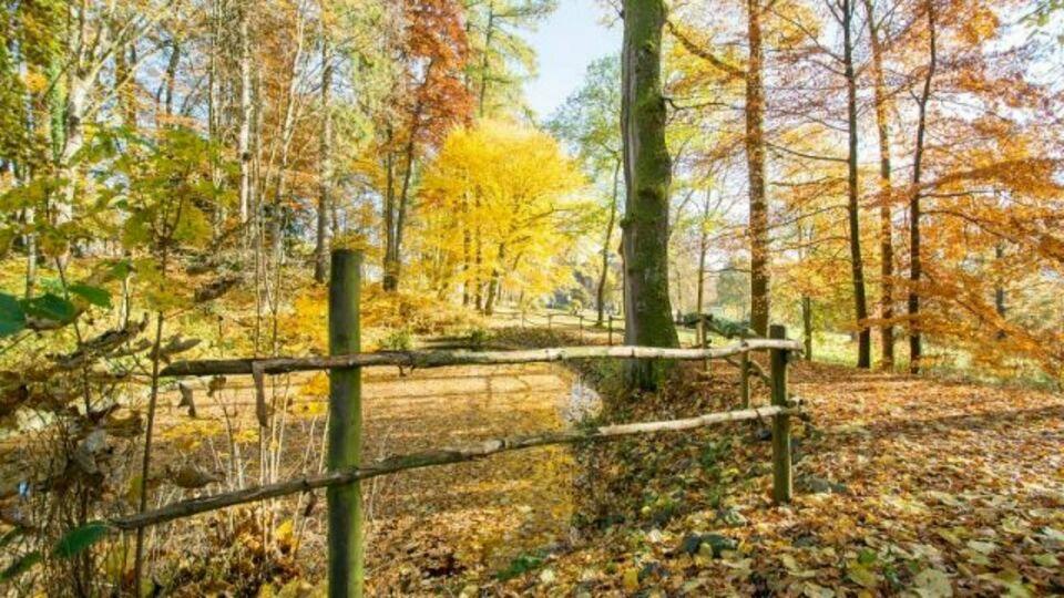 goldener Herbst in Winterberg auf eigenem traumhaften Grundstück Schötmar