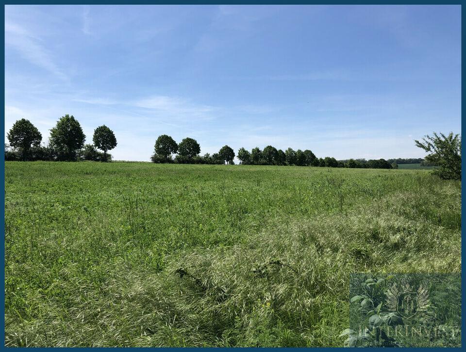 *Sommeraktion bis 31.07.2020* Bauträgerfreies Grundstück in Magdeburg Bebauungsplan abgeschlossen Sachsen-Anhalt