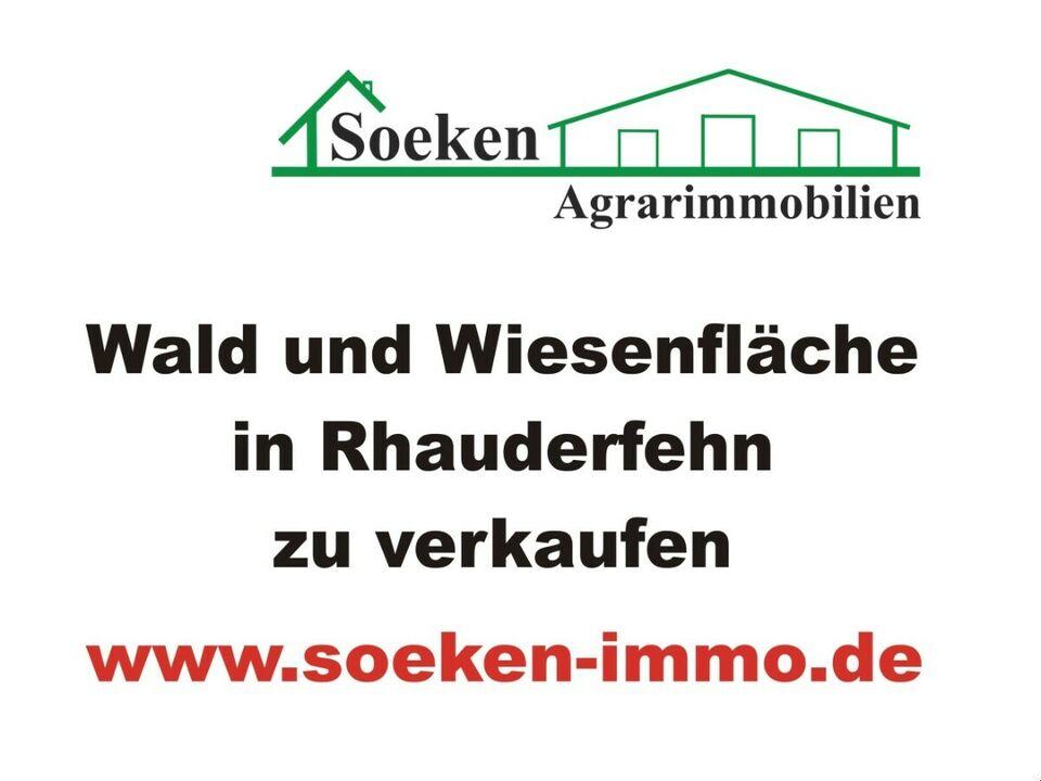 Wald und Wiesenfläche in Rhauderfehn- Collinghorst zu verkaufen **KB2001** Rhauderfehn