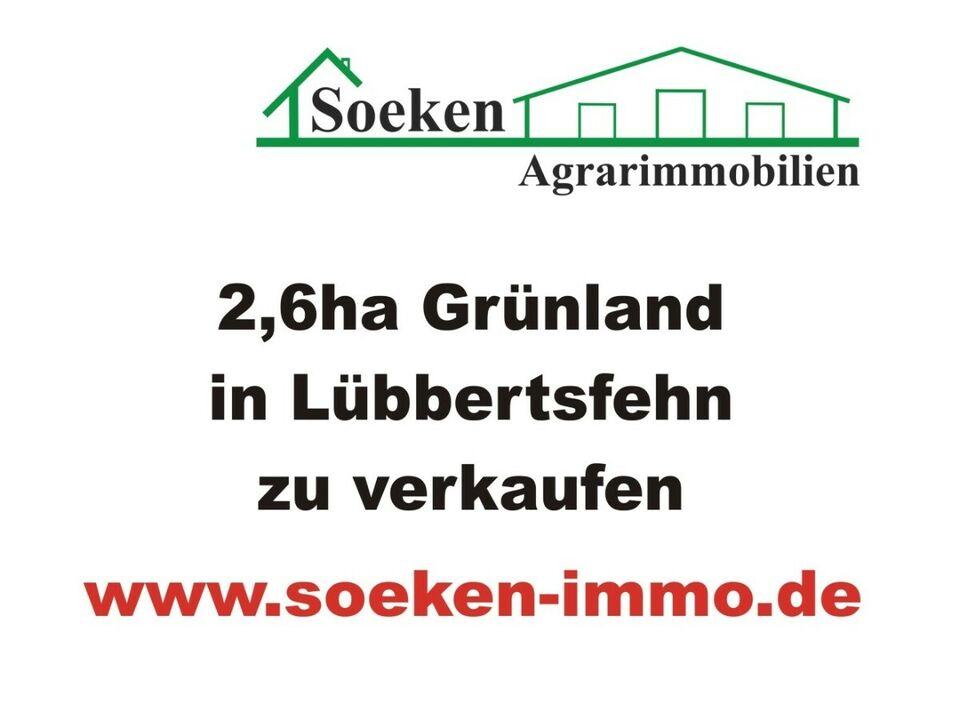 2,6ha Grünland in Lübbertsfehn zu verkaufen KT1907 Niedersachsen