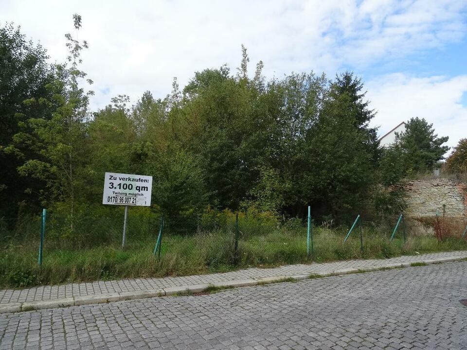 Bauträger freies Grundstück 39164 Wanzleben am Schloßplatz 4 Sachsen-Anhalt