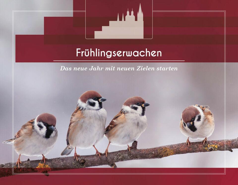 Frühlingserwachen im Luxusappartement mit Dachterasse, Loggia, Fahrstuhl und Stellplatz. Sachsen-Anhalt