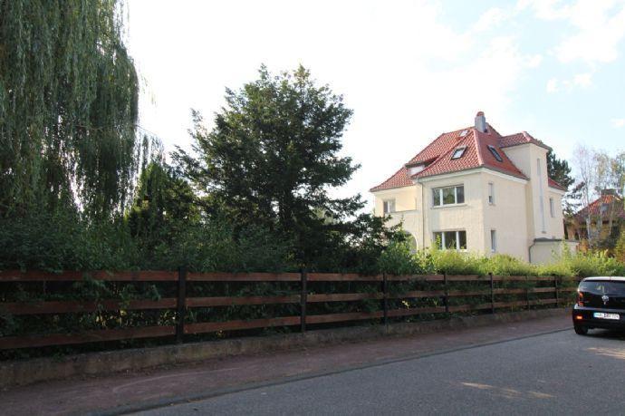 Renovierungsbedürftige Villa mit großem Grundstück im Waldstraßenviertel zu verkaufen!!! Halle (Saale)