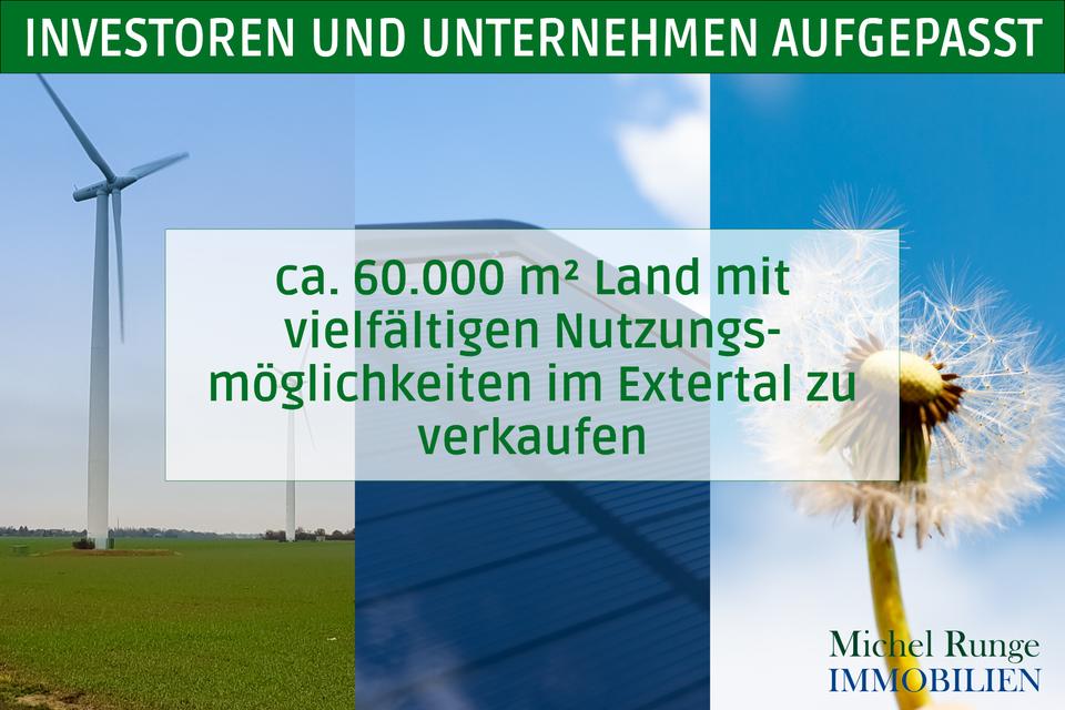 60.000 m² Land mit vielfältigen Nutzungsmöglichkeiten im Extertal Nordrhein-Westfalen