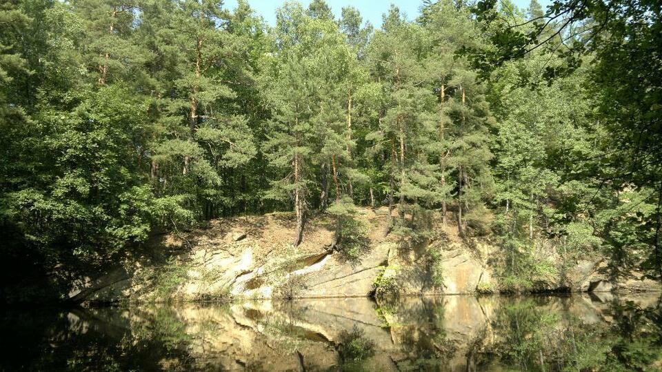 Grundstück im Mischwald mit Kranteich www.kranteich.de Hilbersdorf