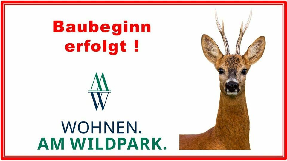 Schicke Wohnung am Wildpark in Bad Sassendorf Bad Sassendorf