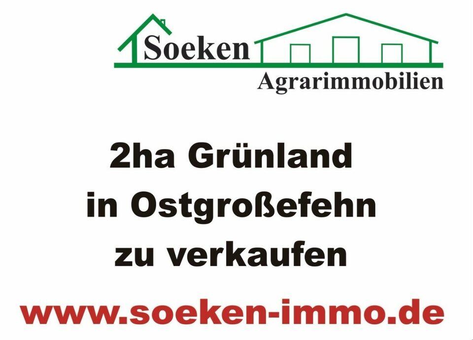 Landwirtschaftliche Fläche in Ostgroßefehn zu verkaufen. HF1713 Großefehn