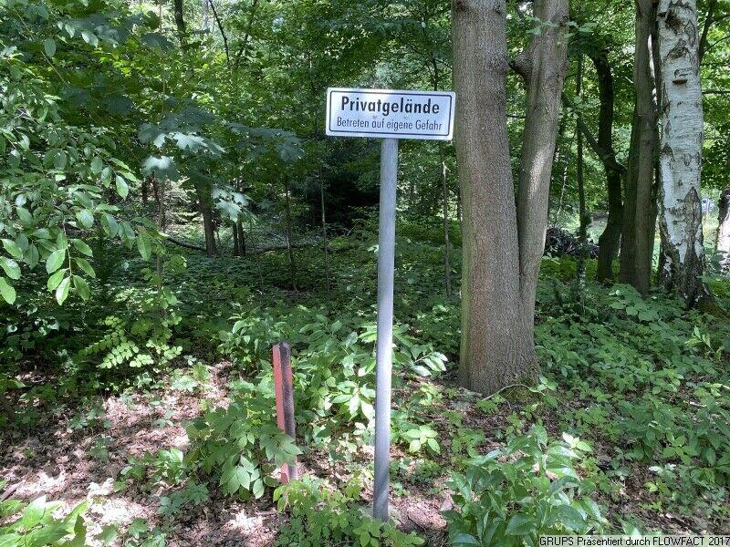 Schönes Waldgrundstück in Krauschwitz zu Verkaufen Krauschwitz - Krušwica