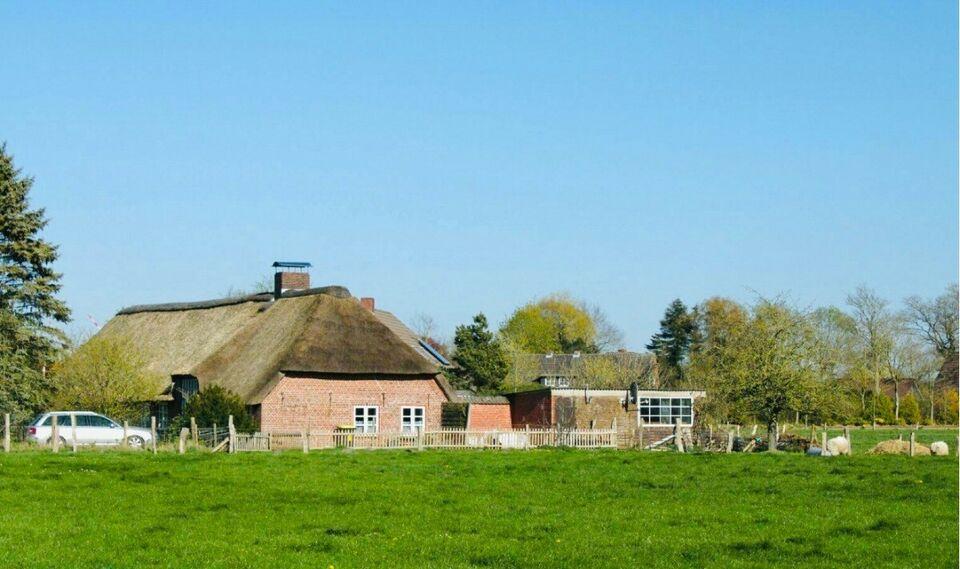 *D2026* Reetdachhaushälfte mit großzügigen Garten 1600m, ehemals Kaiserliche Poststelle in Achtrup Schleswig-Holstein