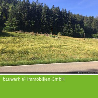 Alpirsbach: Ihr neuer Bauplatz im Mischgebiet mit vielen Möglichkeiten! Alpirsbach