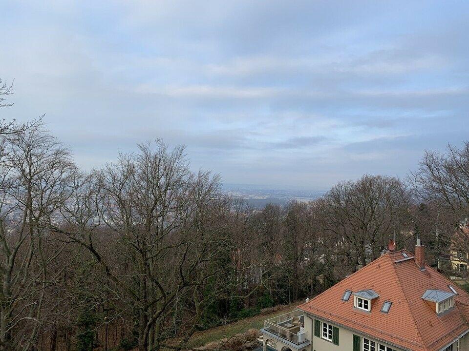 unverbaubarer Höhenblick - 4 Zimmer im Königspark Oberloschwitz Loschwitz