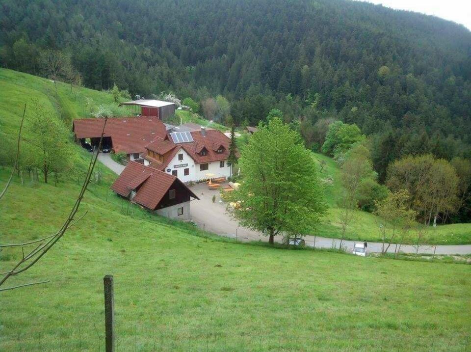 Bauernhof mit Vespersube in sonniger Alleinlage Baden-Württemberg