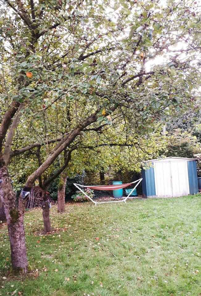 Im Schreber-Garten gemeinsam gärtnern. Suchen Mitbeteiligung. Münster