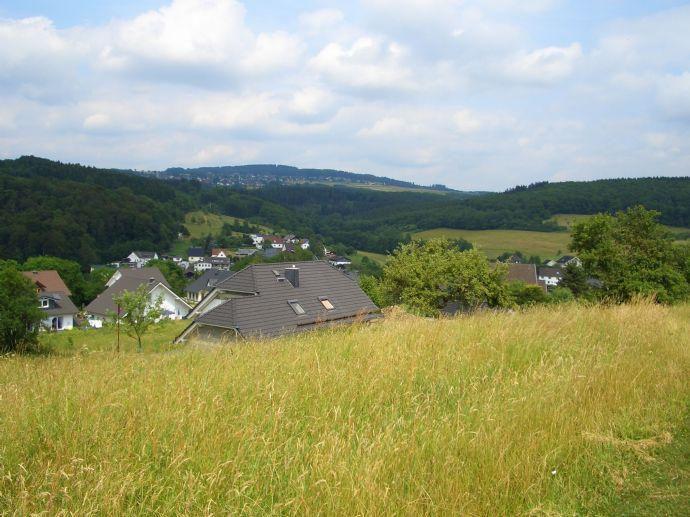Grundstück, unverbaubare Aussicht, voll erschlossen Kreisfreie Stadt Darmstadt