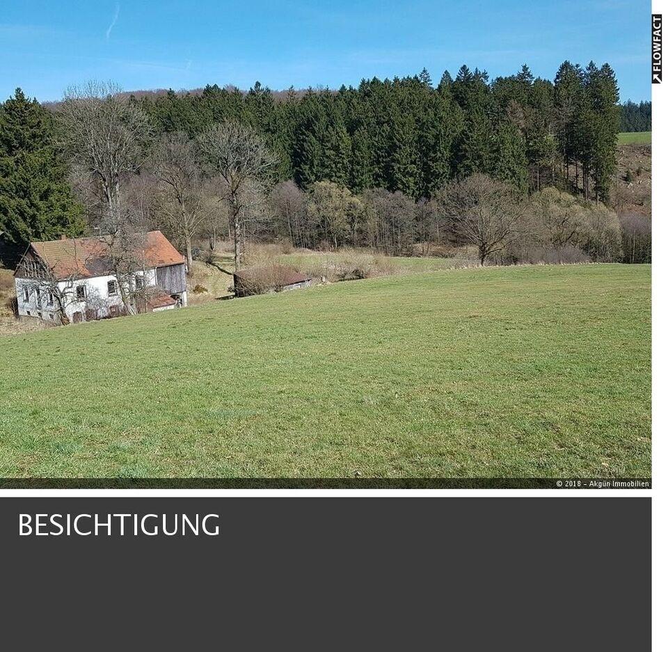 Bieterverfahren !! Fichtenwald ca. 10858 qm ! Nordrhein-Westfalen