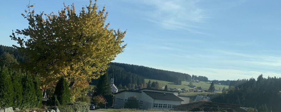 3 1/2 Zimmer Wohnung in 78141 Schönwald Schönau im Schwarzwald