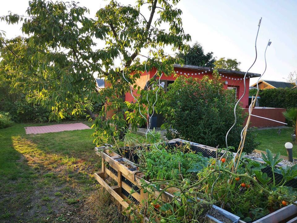 Schöner Pacht Garten Leipziger Vorstadt DD /Wochenend-Grundstück Innere Altstadt