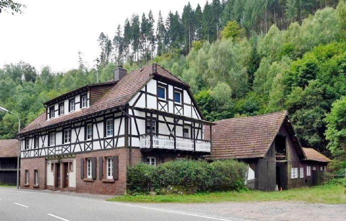 Historische Sägemühle mit Doppelhaus in Elmstein Kreisfreie Stadt Darmstadt