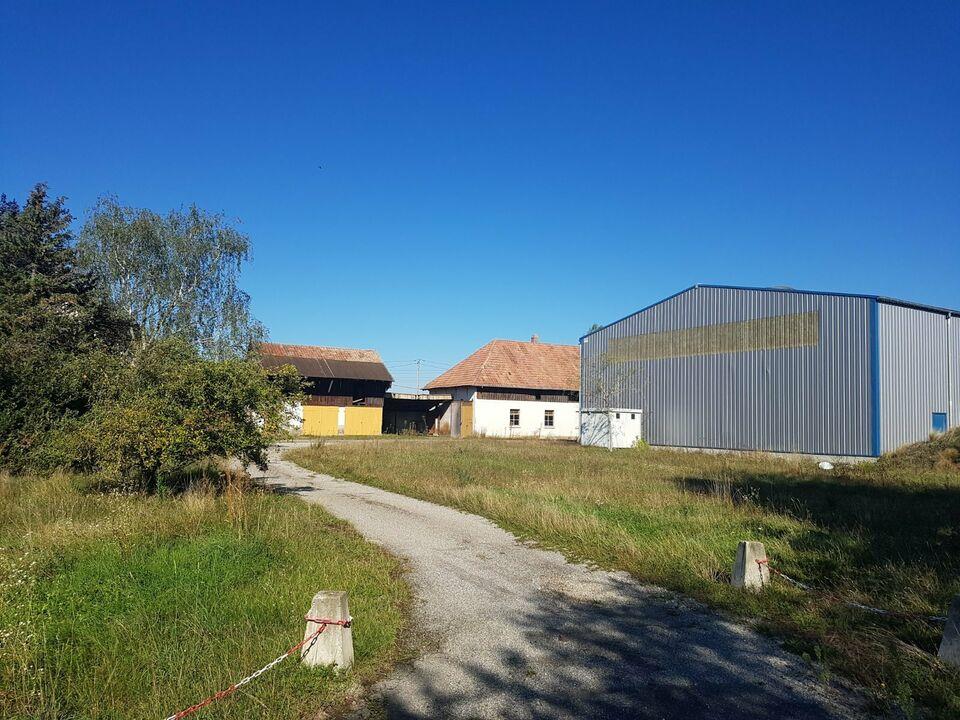 GRENZNAHE FESSENHEIM RIESIGES ANWESEN FÜR GEWERBE! Breisach am Rhein