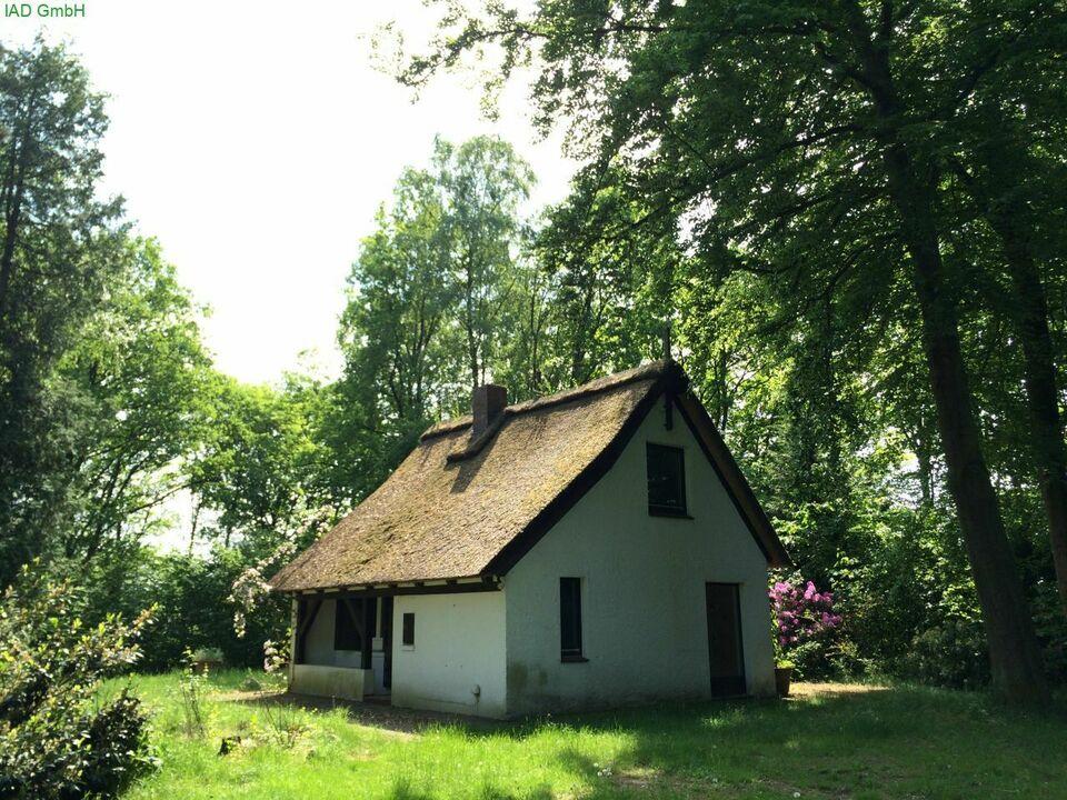 Rarität: Idyllisches Reetdachhaus auf großem Naturgrundstück in Hamfelde Hamfelde (Lauenburg)