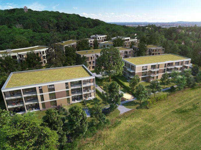 Zuhause in Zirndorf: Sonnige Wohlfühlwohnung | 3-Zimmer mit großem Balkon Steinau an der Straße