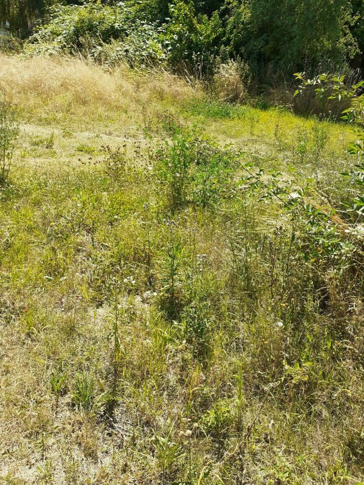 Ein großer Bauplatz wartet den stolzen Bauhhern Kurort Hartha