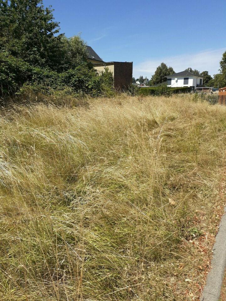 wenn 2021 bauen willst, dann solltest jetzt das Grundstück kaufen Kurort Hartha