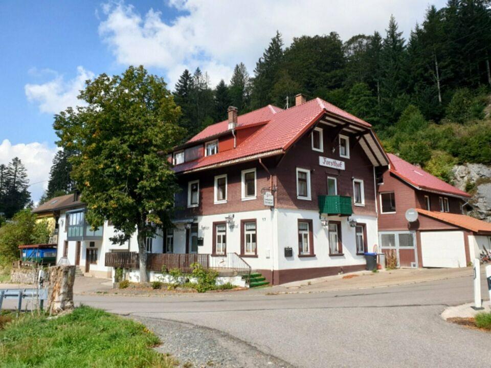 Großzügiges Haus mit Hotel-Einrichtung im Südschwarzwald Baden-Württemberg