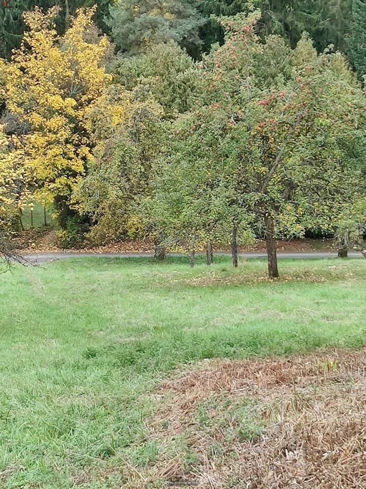 Obstbaumwiese im Gartenhausgebiet in ruhiger Lage Baden-Württemberg
