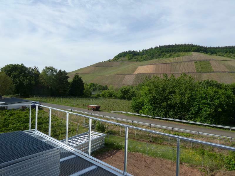 Tolle Dachterrassenwohnung mit Moselblick im Energiesparhaus in Longuich Rheinland-Pfalz