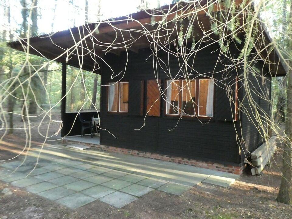 Blockbohlenhaus auf großem, naturbelassenem Waldgrundstück! Dötlingen