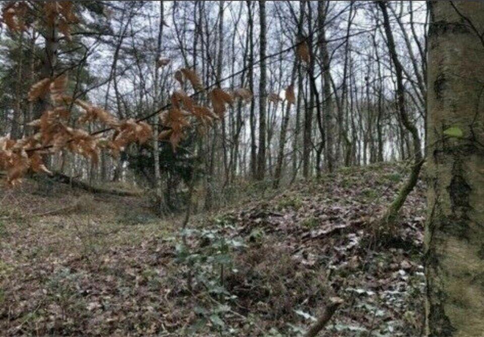 Verkaufe ein 1000m2 Waldgrundstück in Detmold Heidenoldendorf Nordrhein-Westfalen