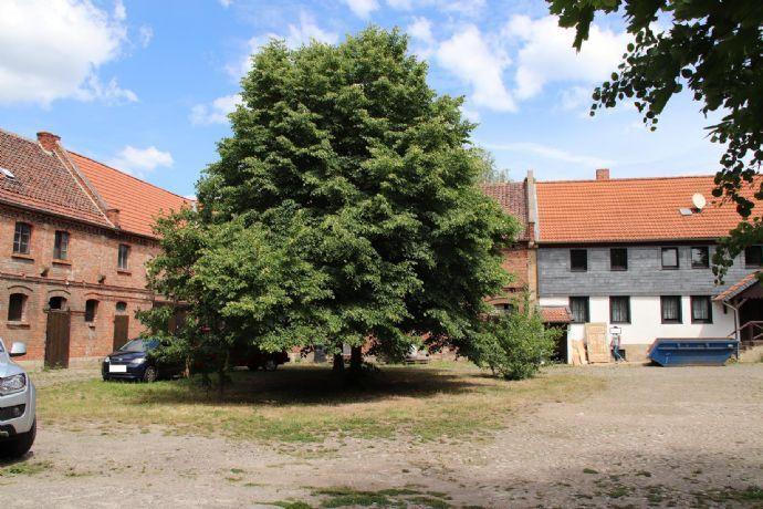 Toller Bauernhof als Mehrgenerationenhaus oder für Selbstständige mit Tierhaltung Kreisfreie Stadt Darmstadt