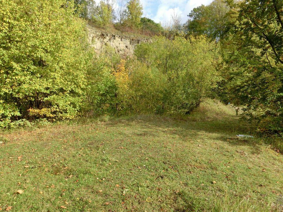 Stillgelegter Steinbruch im Weserbergland mit Nähe zur Weser Bevern