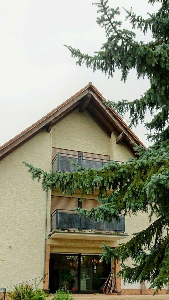 idyllisch gelegenes 1-2 Familienhaus zu verkaufen Schöneck