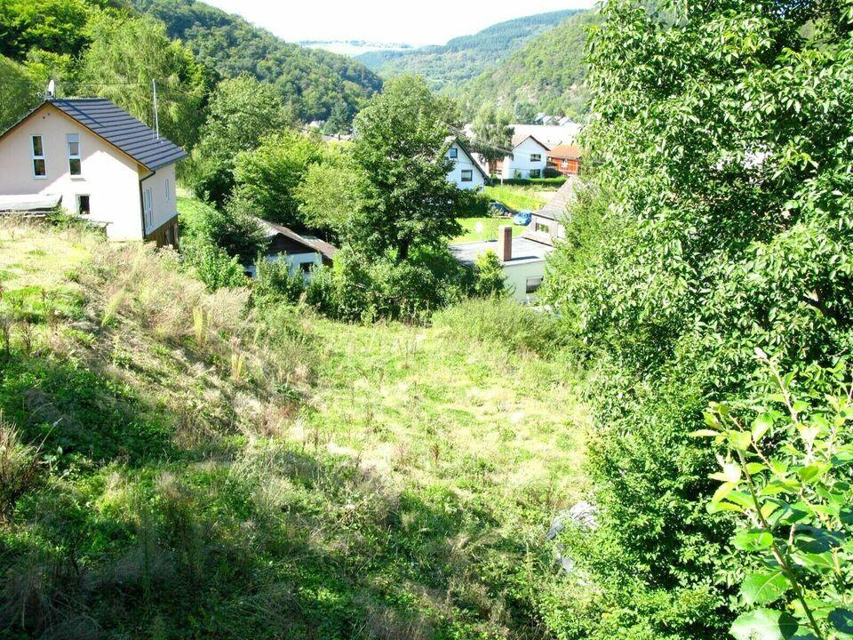 Baugrundstück mit unverbaubarem Blick ins Grüne in Ahrbrück Rheinland-Pfalz