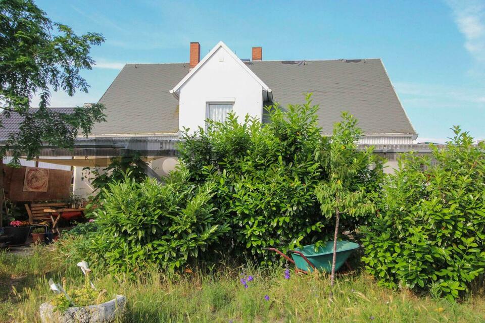 Gemütliches EFH mit überdachter Terrasse auf großem Grundstück mit Scheune in naturnaher Lage Nünchritz