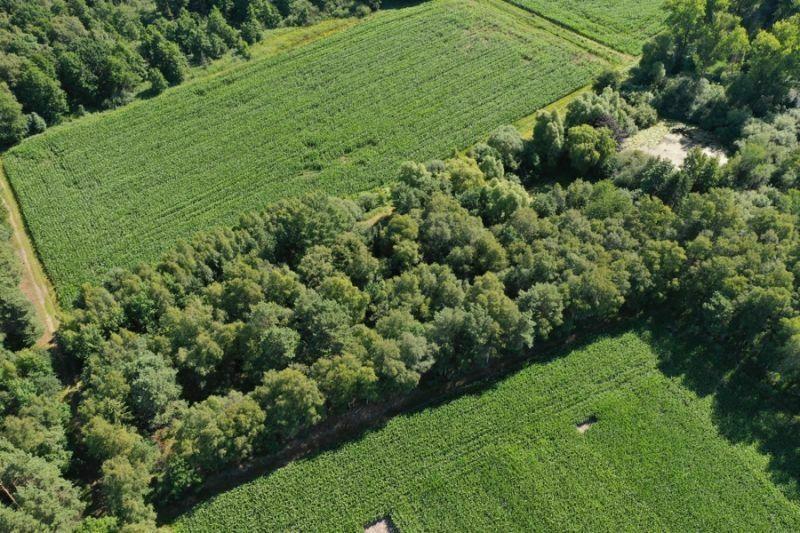 Hemsbünde: Forstwirtschaftliche Fläche mit Teichen von 11.195 m² Gesamtfläche Hemsbünde