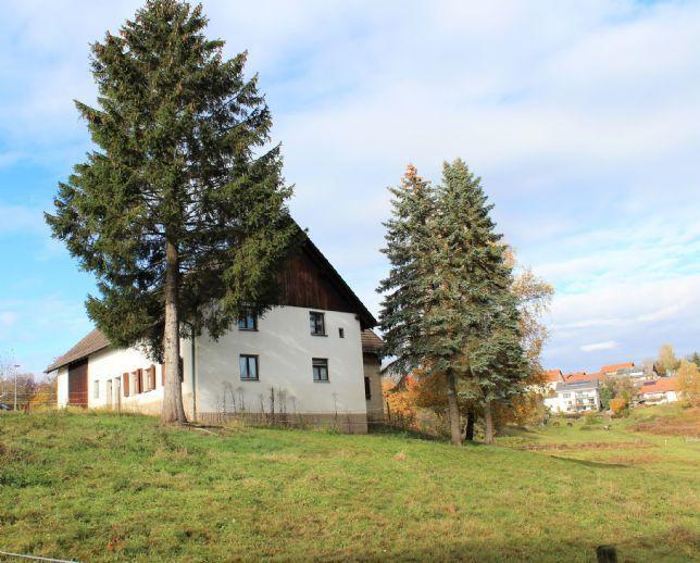 Sanierungsbedürftiges Bauernhaus in ruhiger Ortsrandlage, großer Wiese, Bauplatz, Alpensicht Görwihl
